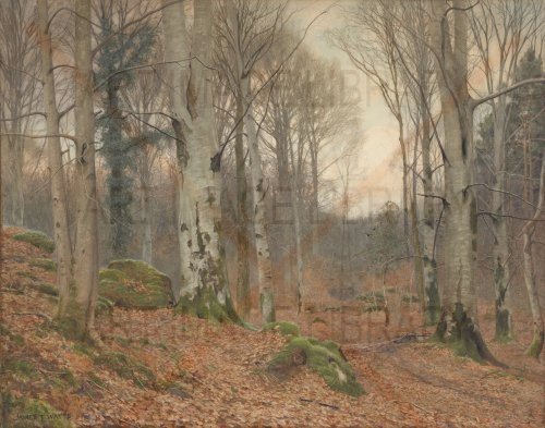 Image no. 4930: A Welsh Wood in Winter (James Thomas Watts), code=S, ord=0, date=1903